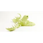 Голова лося - Мятно-зеленая от ImperiumLoft