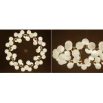 Подвесная люстра Milk Bubble Round Chandelier