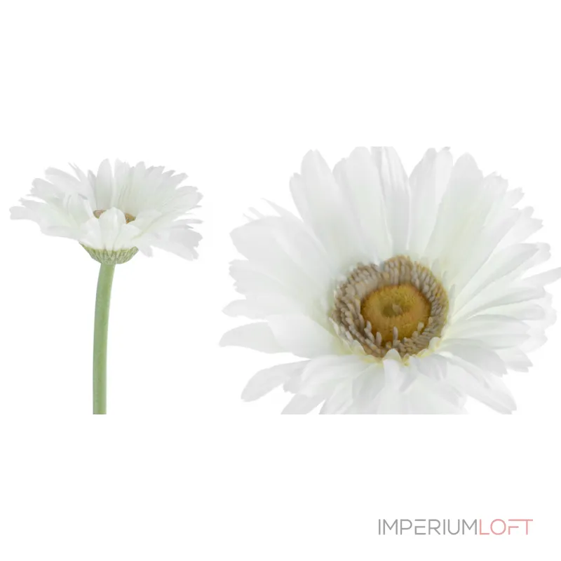 Декоративный искусственный цветок Chamomile от ImperiumLoft Декоративный искусственный цветок Chamomile от ImperiumLoft