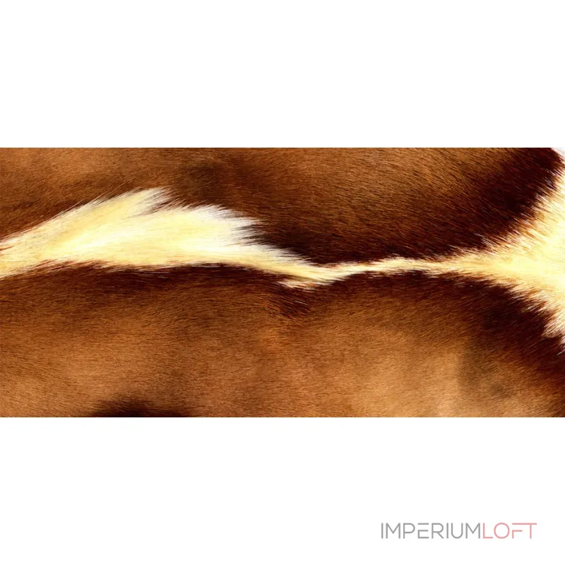 Натуральная шкура антилопы Gemsbok от ImperiumLoft Натуральная шкура антилопы Gemsbok от ImperiumLoft