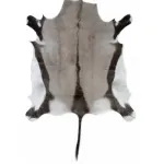 Натуральная шкура антилопы Gemsbok от ImperiumLoft