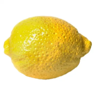 Аксессуар lemon ceramics Большой Лимон Аксессуар lemon ceramics Большой Лимон
