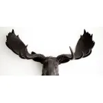 Голова лося - Черная от ImperiumLoft