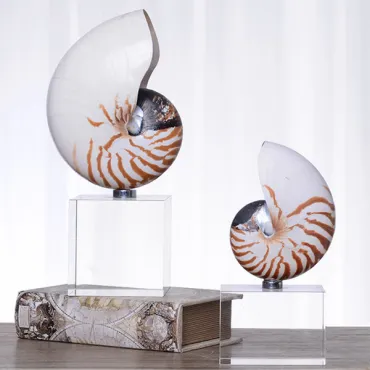 Декоративная статуэтка Shell