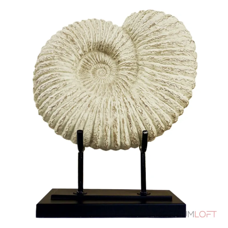 Аксессуар Аммонит Fossil Shell от ImperiumLoft Аксессуар Аммонит Fossil Shell от ImperiumLoft