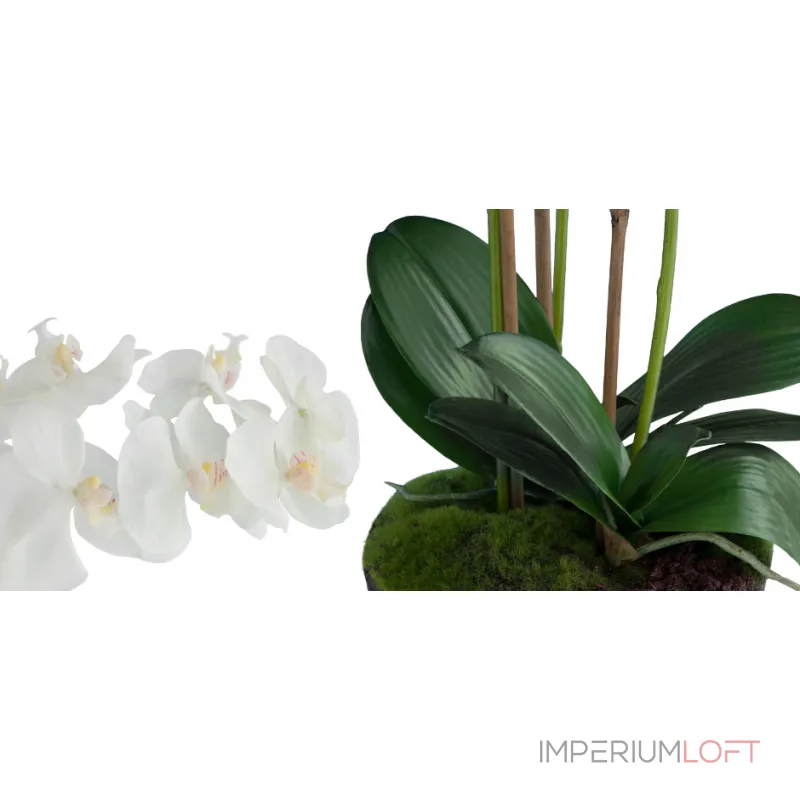 Декоративный искусственный цветок Orchid от ImperiumLoft Декоративный искусственный цветок Orchid от ImperiumLoft