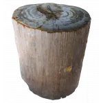 Стул из окаменелого дерева SW1 от ImperiumLoft
