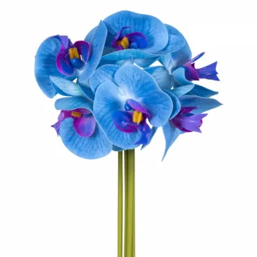 Декоративный искусственный цветок Bouquet Of Blue Orchids Декоративный искусственный цветок Bouquet Of Blue Orchids