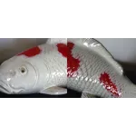 Аксессуар Japanese Carp от ImperiumLoft