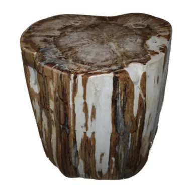 Стул из окаменелого дерева SWS002 Стул из окаменелого дерева SWS002