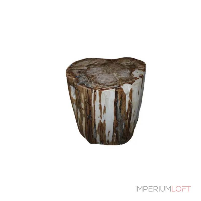 Стул из окаменелого дерева SWS002 от ImperiumLoft Стул из окаменелого дерева SWS002 от ImperiumLoft