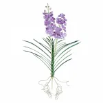 Декоративный искусственный цветок Pink Tropics от ImperiumLoft