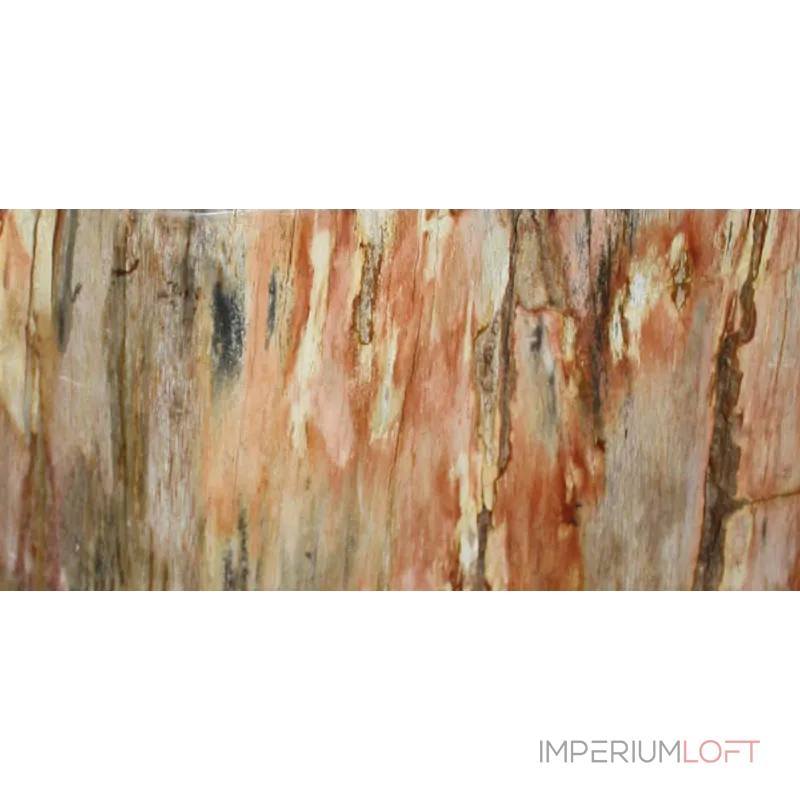 Стул из окаменелого дерева SWS003 от ImperiumLoft Стул из окаменелого дерева SWS003 от ImperiumLoft