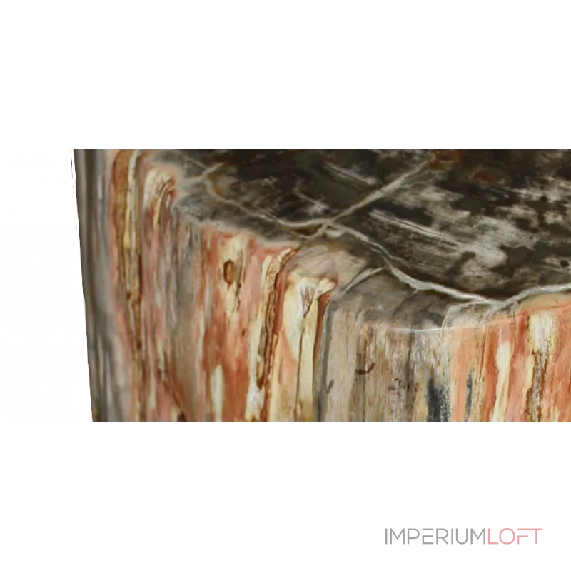 Стул из окаменелого дерева SWS003 от ImperiumLoft Стул из окаменелого дерева SWS003 от ImperiumLoft