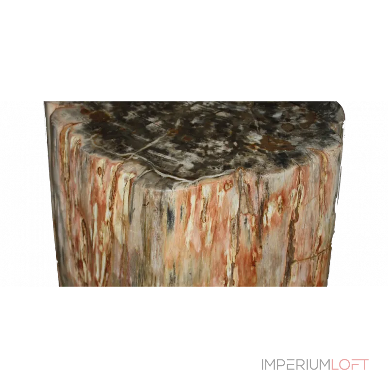 Стул из окаменелого дерева SWS003 от ImperiumLoft Стул из окаменелого дерева SWS003 от ImperiumLoft