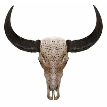 Череп буйвола Buffalo Skull Tribal Carving 1 Череп буйвола Buffalo Skull Tribal Carving 1