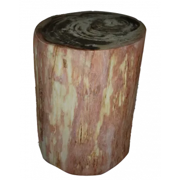 Стул из окаменелого дерева SWS004 Стул из окаменелого дерева SWS004