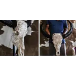 Череп буйвола Buffalo Skull Tribal Carving 1 от ImperiumLoft