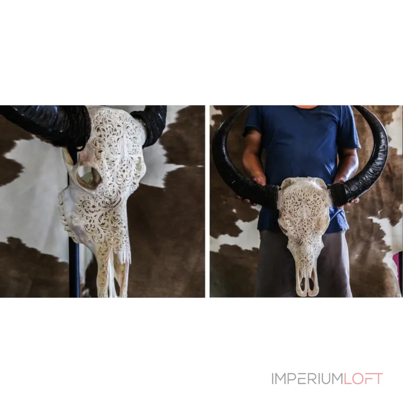 Череп буйвола Buffalo Skull Tribal Carving 1 от ImperiumLoft