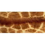 Натуральная шкура жирафа от ImperiumLoft
