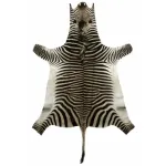 Натуральная шкура зебры Hartmannae от ImperiumLoft