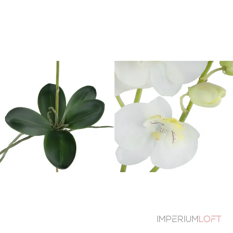 Декоративный искусственный цветок Phalaenopsis от ImperiumLoft Декоративный искусственный цветок Phalaenopsis от ImperiumLoft