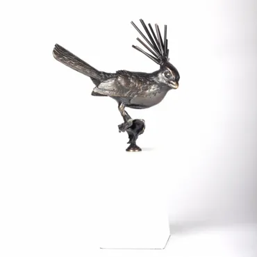 Аксессуар Bird Crest Fan Аксессуар Bird Crest Fan