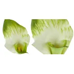 Декоративный искусственный цветок Calla от ImperiumLoft