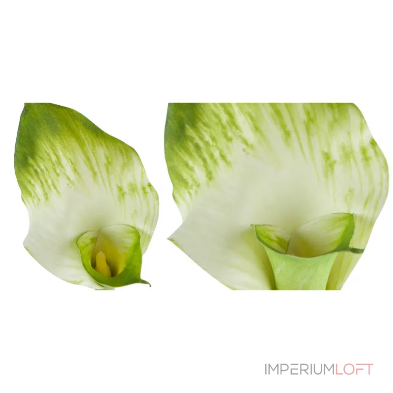 Декоративный искусственный цветок Calla от ImperiumLoft Декоративный искусственный цветок Calla от ImperiumLoft