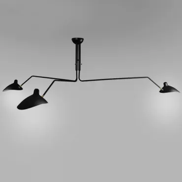 Потолочный светильник Lampara Mouille