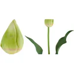 Декоративный искусственный цветок Tulip Bud от ImperiumLoft