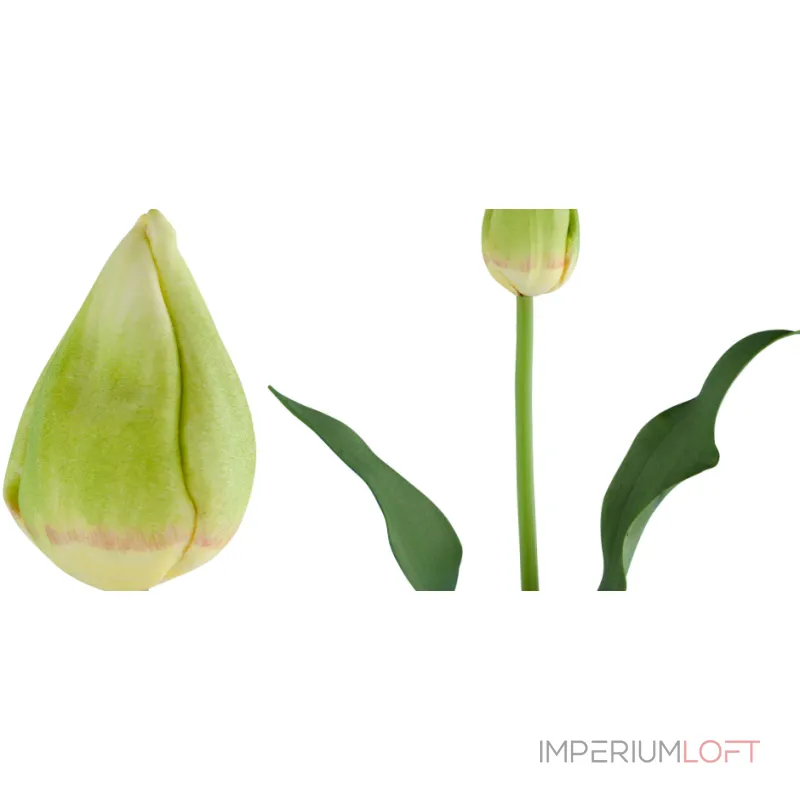 Декоративный искусственный цветок Tulip Bud от ImperiumLoft Декоративный искусственный цветок Tulip Bud от ImperiumLoft
