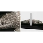 Держатель книг крокодил Crocodile от ImperiumLoft