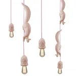 Светильник Белка karman Sherwood e robin SE151 BB INT-Pink от ImperiumLoft