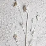 Картина Eglo ALAMINOS 423037 от ImperiumLoft