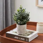 Искусственное растение в горшке Eglo CHITOSE 428027 от ImperiumLoft