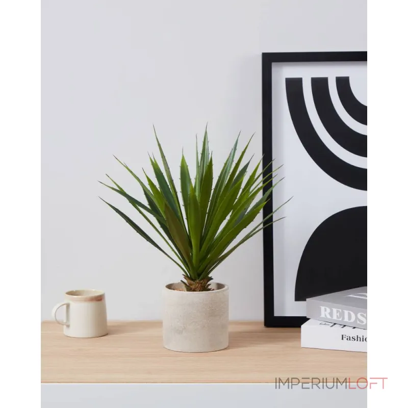 Искусственное растение в горшке Eglo TOBETSU 428016 от ImperiumLoft Искусственное растение в горшке Eglo TOBETSU 428016 от ImperiumLoft