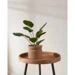 Кашпо Eglo PARKENT 428149 от ImperiumLoft