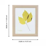 Фоторамка Eglo RENABIE 423094 от ImperiumLoft