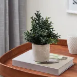 Искусственное растение в горшке Eglo CHITOSE 428028 от ImperiumLoft