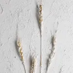 Картина Eglo ALAMINOS 423039 от ImperiumLoft