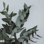 Фоторамка Eglo RENABIE 423015 от ImperiumLoft