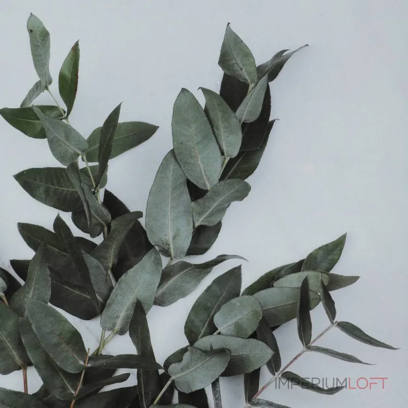 Фоторамка Eglo RENABIE 423015 от ImperiumLoft