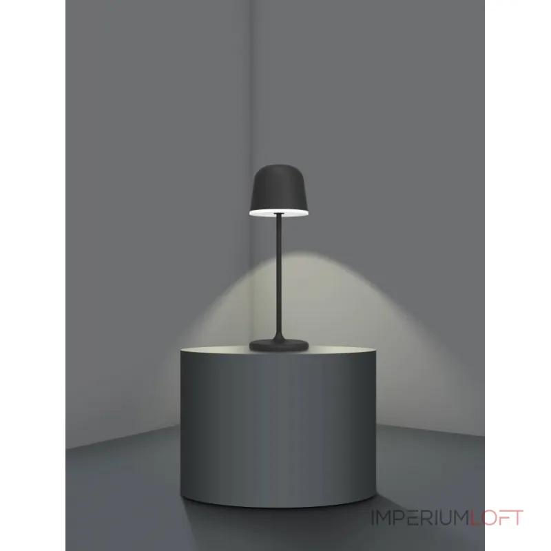 Уличная настольная лампа Eglo MANNERA 900457 от ImperiumLoft