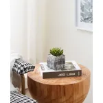 Искусственное растение в горшке Eglo CHITOSE 428007 от ImperiumLoft