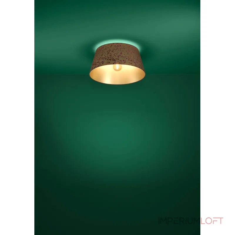 Потолочный светильник Eglo CASTUERA 390291 от ImperiumLoft