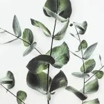 Картина Eglo ROBERVAL 423043 от ImperiumLoft