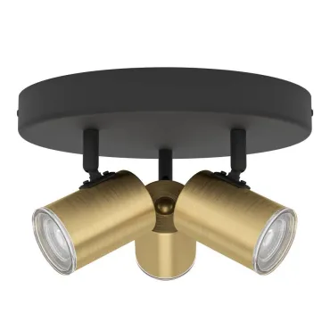 Спот Eglo Consuma 1 300586