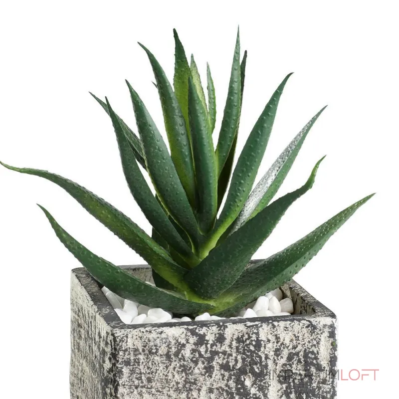 Искусственное растение в горшке Eglo CHITOSE 428008 от ImperiumLoft