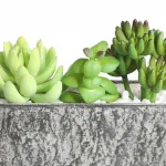 Искусственное растение в горшке Eglo CHITOSE 428009 от ImperiumLoft